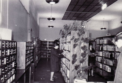[Pretraživanje polica Gradske biblioteke Sušak]