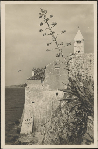 Rab (Arbe) / Ljubo Tošović