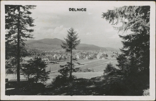 Delnice